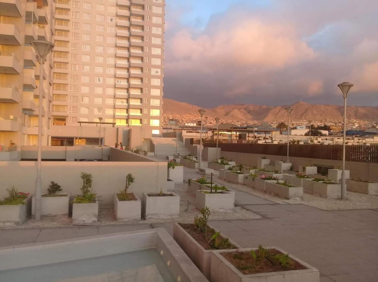 Hermoso Departamento Con Vista Al Mar Antofagasta Exteriör bild
