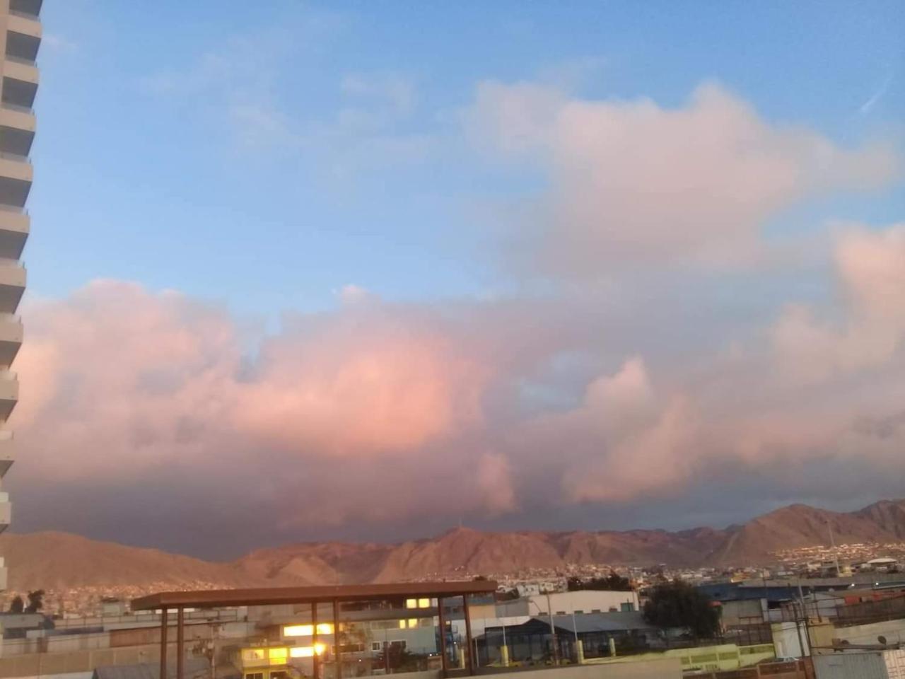 Hermoso Departamento Con Vista Al Mar Antofagasta Exteriör bild