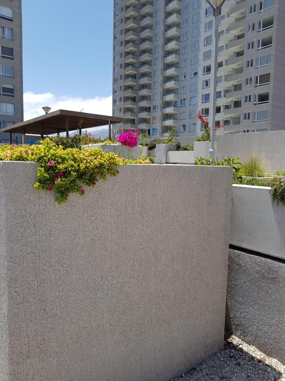 Hermoso Departamento Con Vista Al Mar Antofagasta Exteriör bild